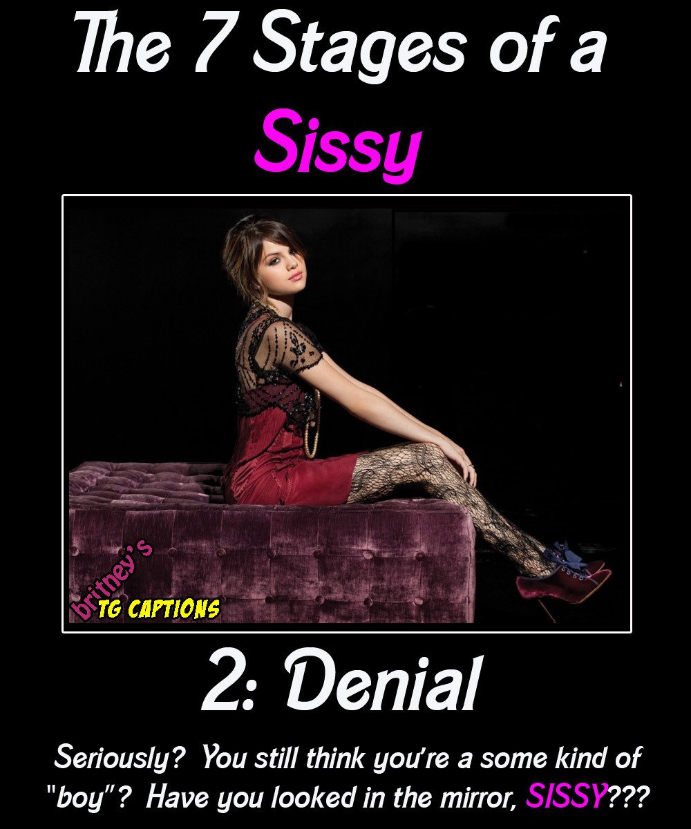 sissyfagpup:  britney-shagwell:  The 7 Stages of a Sissy… - featuring the adorable