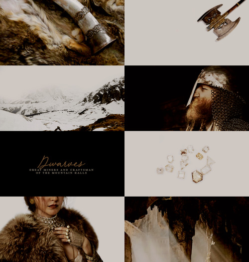 jediknightrey:AESTHETIC MEME:  [10/10] anything else: Peoples of Middle Earth