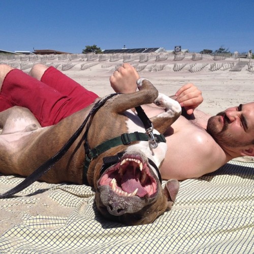 That's My Spot! #beachpups #cherrygrove #fireisland #beachday @gsmoura2 (at The Beach)