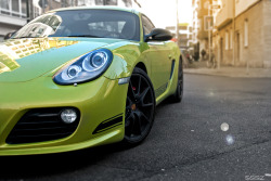 sssz-photo:   Cayman R 