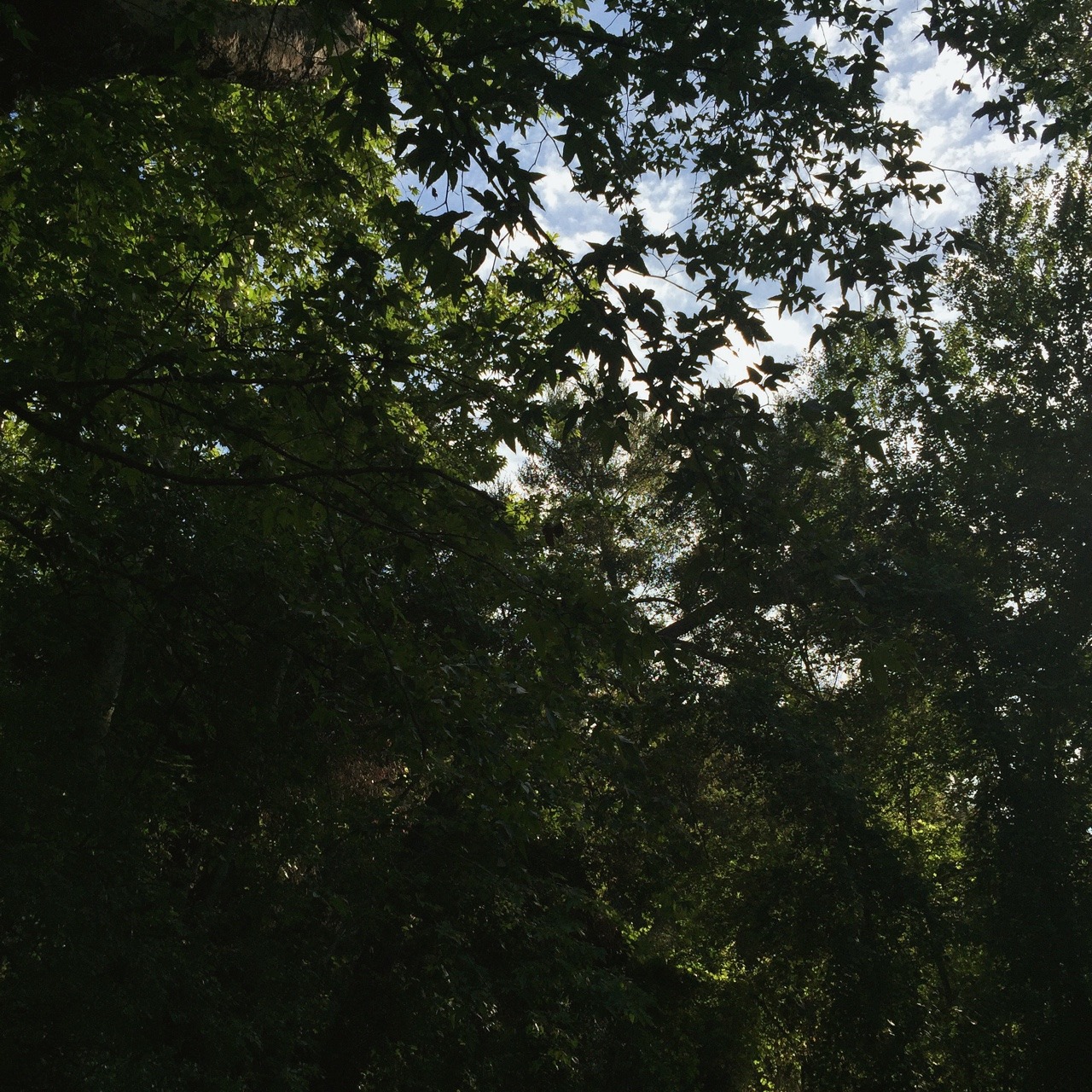My favorite place ever.🍃🌾
