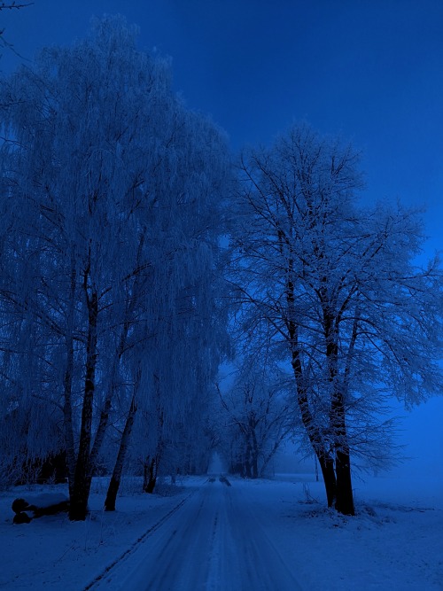 Frozen land #my photography#my photo#my edits#poland#polska#winter#snow#cold#frozen#village#forest#foggy#fog#europe#atmosphere#mood #atmospheric black metal #ambient#blue#dark#mystical#slavic#norse#trees#photography#moon#sun