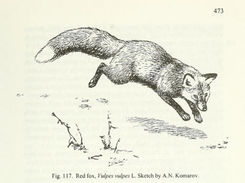 warcrimesimulator: Mammals of the Soviet Union, 1988
