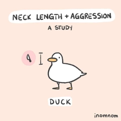 catsbeaversandducks:“Neck lengths of birds + aggression: a study.”By @inomnomcom