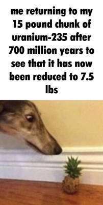 daughter-of-sapph0:I love these memes. poor little borzoi doesn&rsquo;t understand
