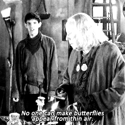landofmerlin:No one can make butterflies appear from thin air. {request by ladymorgause}