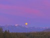 Porn Pics softwaring:Super pink moonrise tonight over