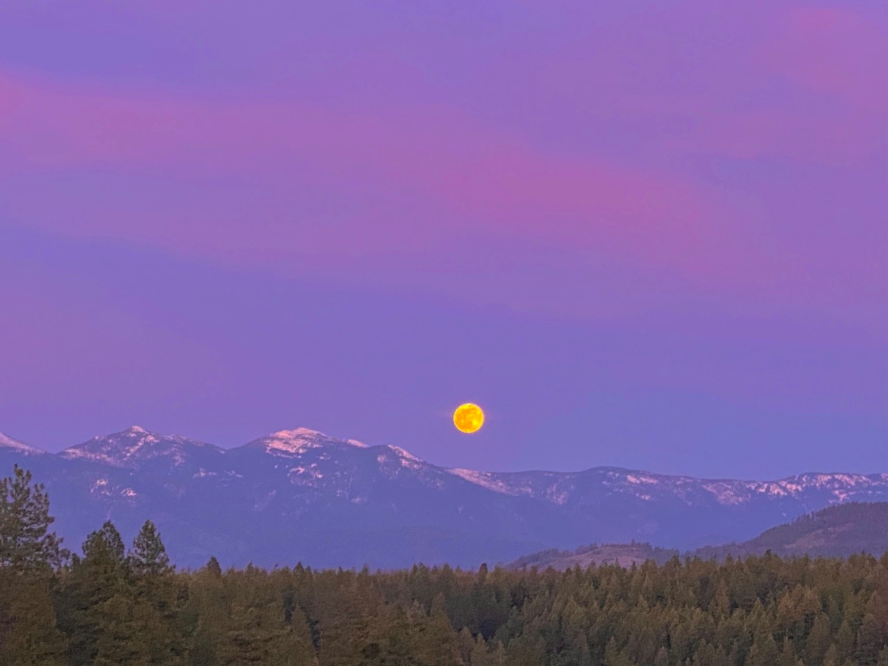 Porn photo softwaring:Super pink moonrise tonight over