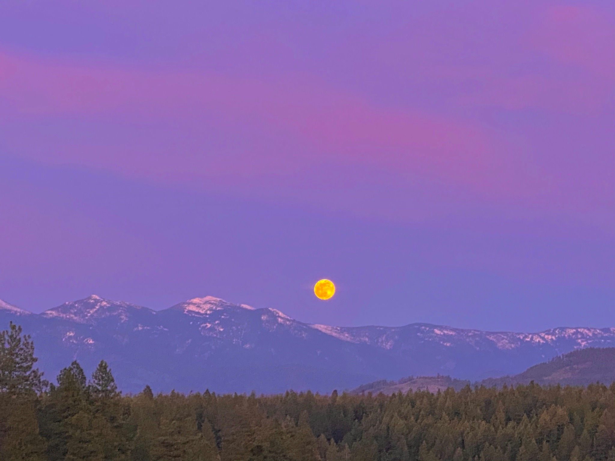 XXX softwaring:Super pink moonrise tonight over photo