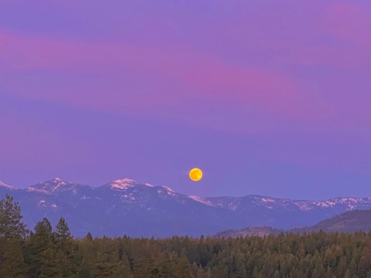 softwaring:Super pink moonrise tonight over porn pictures