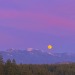 XXX softwaring:Super pink moonrise tonight over photo