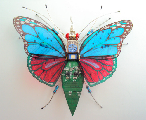 itscolossal: New Winged Insects Constructed from Video Game and Computer Components