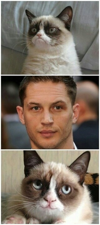 The only thing that makes me and Grumpy Cat smile.
Via Ah Tom Hardy…YES PLEASE!!!