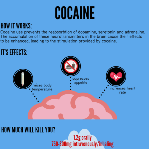tobeagenius:Your Brain on Drugs