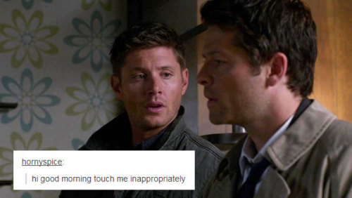 livebloggingmydescentintomadness:  Throwing my hat into the ring. Destiel + text posts.