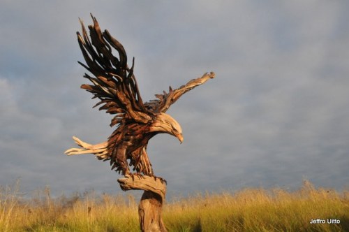 Sex serpentines-fires: Incredible, Driftwood pictures