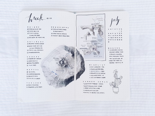 kimching232: studywithinspo:  My weekly spread is done  Tag #bujobrian I want to see your ideas and 