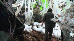 dsetnavrec:  fergie-fergs:  just Bilbo Baggins flipping you off Part 2   Haha