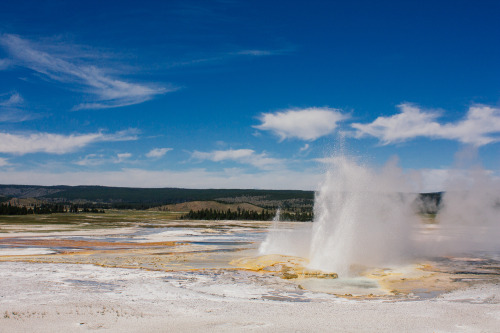 Yellowstone, Wyoming.