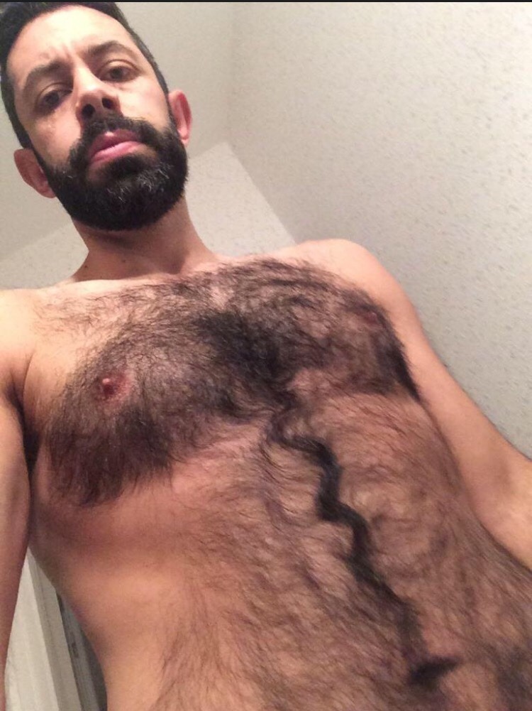 Hairy Chest Perfection