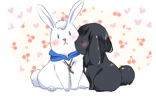 bunnies and cats