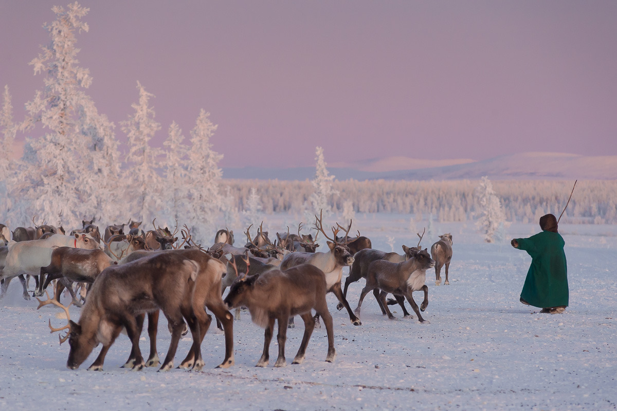 krasna-devica: Yamal, Siberia