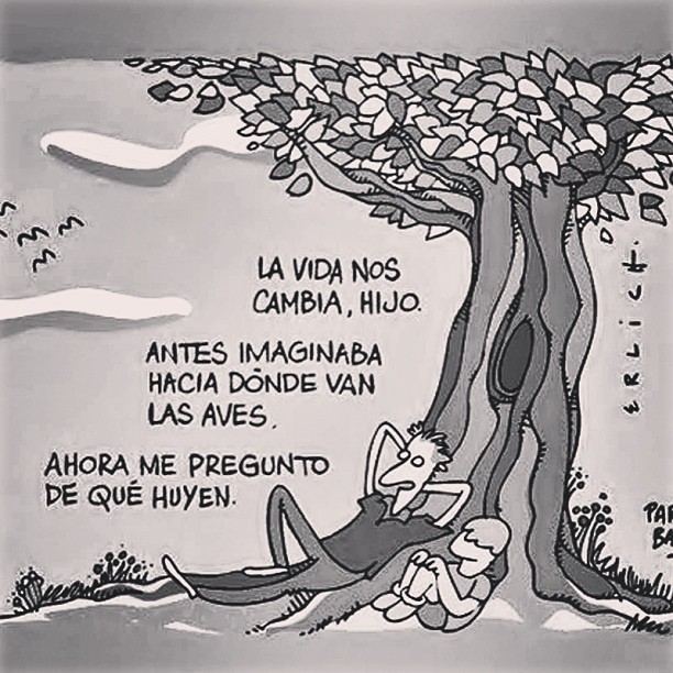 sanjuanvc:  #aves