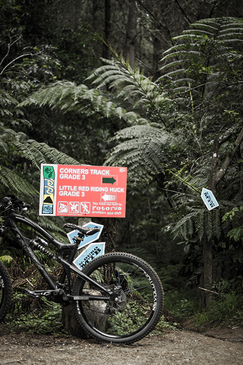 f9dtkfm:  WHAKAREWAREWA MTB PARK:ROTORUA コーナーズは面白かった。また行きたいな。