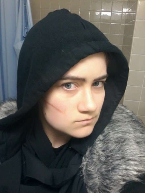 princeofthedeer:@qunaributts got me into critical role and I’m gonna cosplay Vax at Youmacon this ye