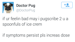 dutchster:  doctor pug is the cutest thing