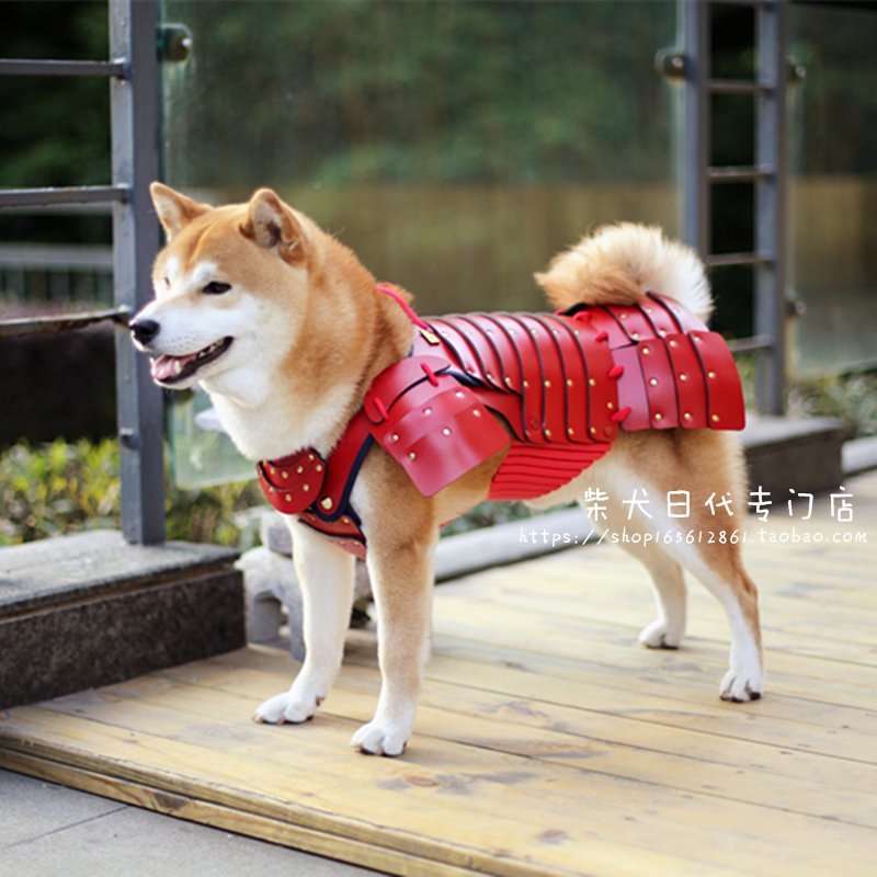 roguetelemetry:most honorable shiba my perfect pet! &lt;3