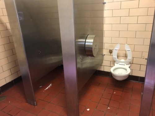 Found a doorless stall mensroom on my trip to New York! Sadly nobody came in to join me.