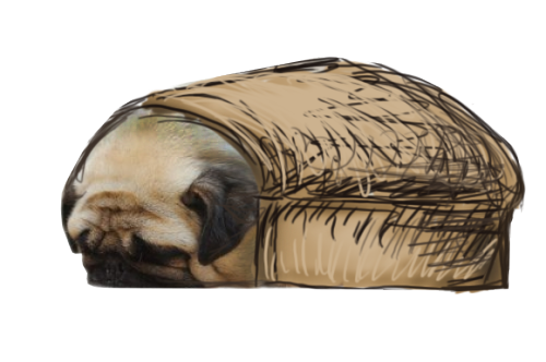 pugtoast