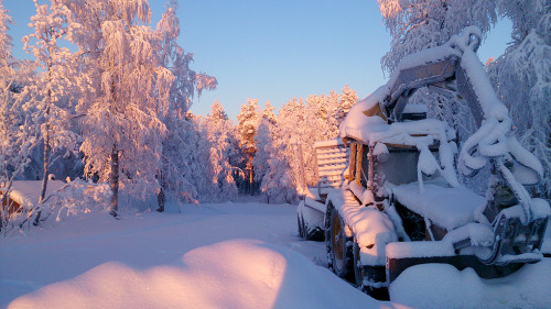 lienwyn - Christmas Eve in Bergnäs. My fingers were stiff from...