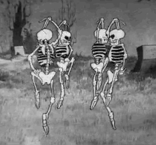 tumblr_pejc4q8tZ71wzypxlo1_500.gifv
