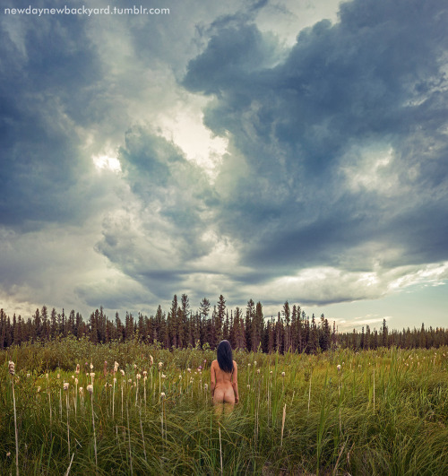 Jasper, Alberta. August 3rd, 2016.