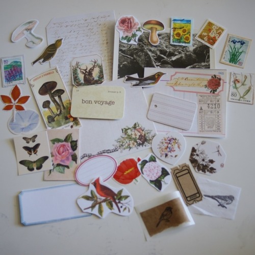 Here are photos of my etsy shop update from today. Some vintage and nature inspired ephemera kits th