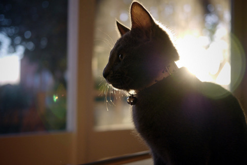 (via Spamventdocument)