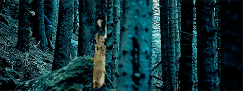 loga-boga:The Ritual (2017) -  Directed by David Bruckner“Oh, this is awful in almost every conceiva