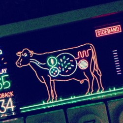 glidepro:  How now brown cow? #teenageengineering