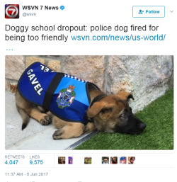 marsincharge: lagonegirl:    Need to fire some real officers for being too racist     I love when doggies can’t be turned into weapons of the state. 