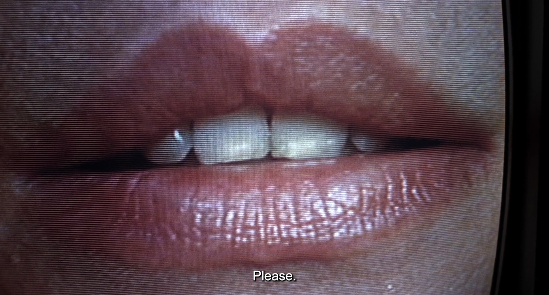 beingharsh:Videodrome (1983), dir. David Cronenberg