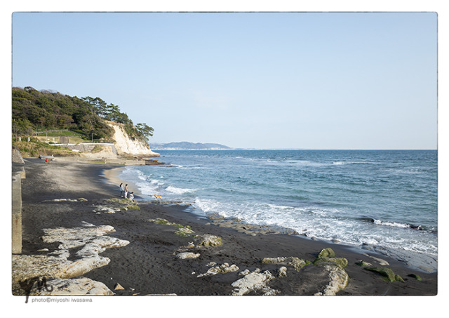 Kamakura, Japan  2022 #dog#beach life#kamakura#japan#original photograhy#street photography#2022