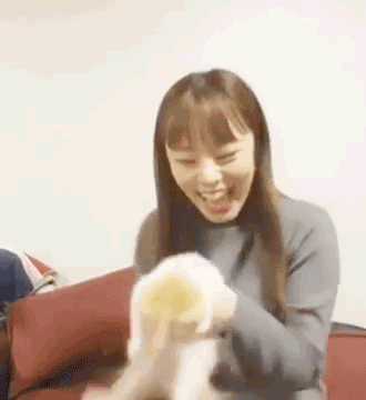 uoongs:psa: wheein has a kitty and the stars have aligned, the world is brighter, balance is restore