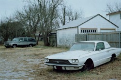 oddlamb:wheatland, oklahoma