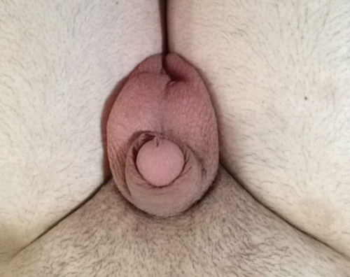 kfallsguy09:My slutty little slave boy’s cock. Totally soft and tiny like a clit, half hard and not 