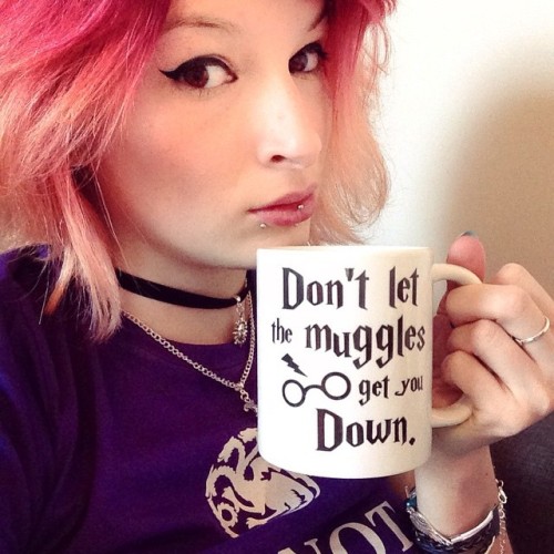 XXX kitty-in-training:Don’t let the muggles photo