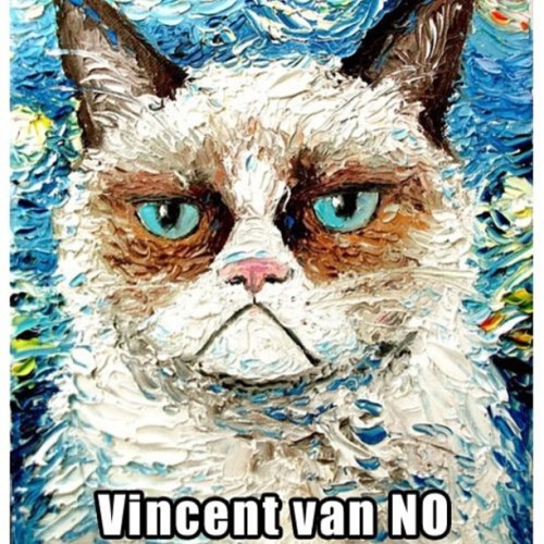 XXX #grumpycat #vincentvangogh photo
