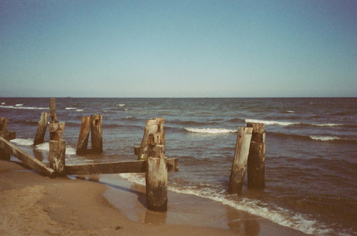 Gdynia, Poland 2017 / Olympus XA2 / Kodak Gold expired film