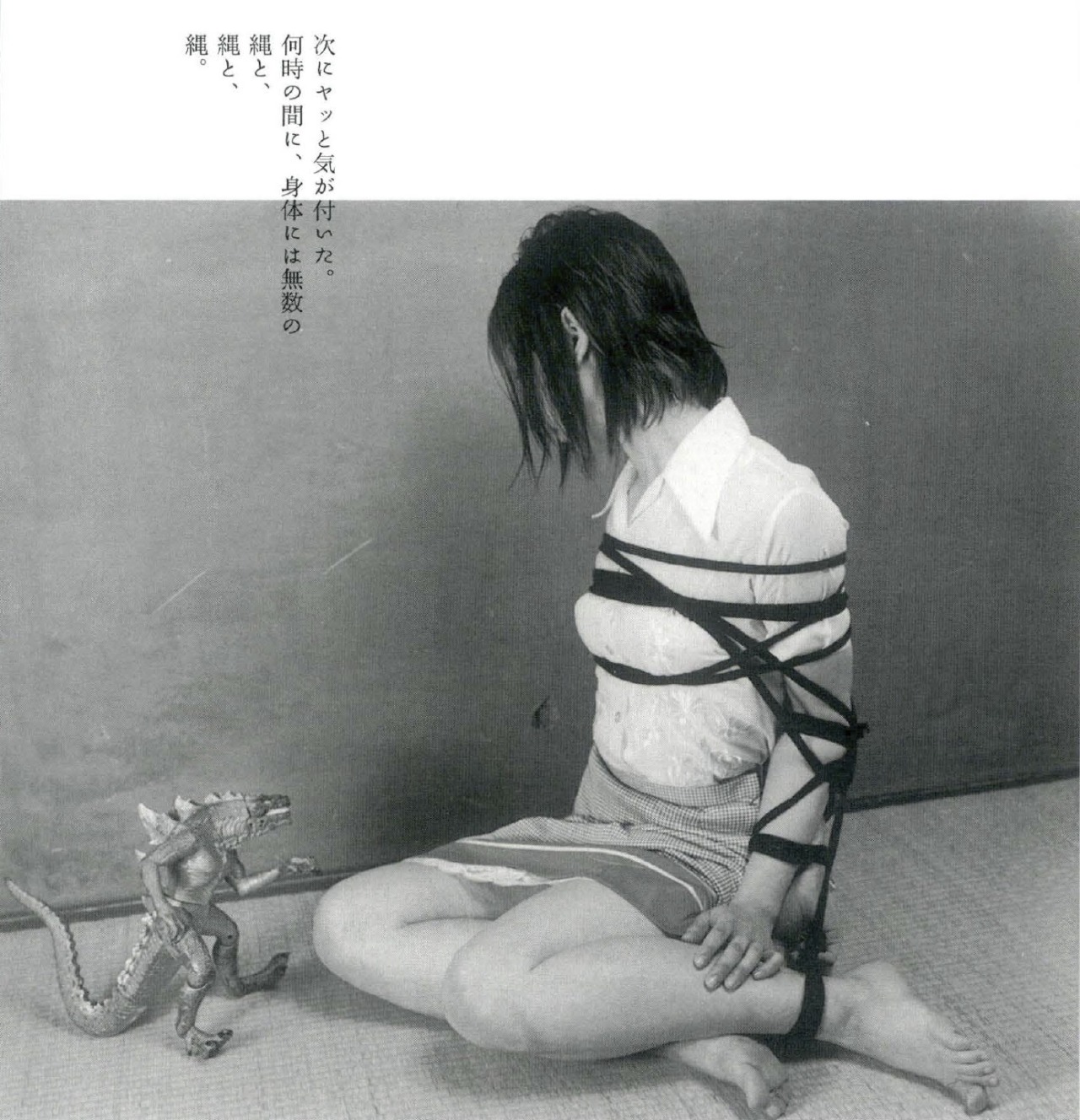 XXX salon-san:『緊縛礼讃 第六回』 S&Mスナイパー2008年5月号。写真：荒木経惟、モデル：トダユキコ photo